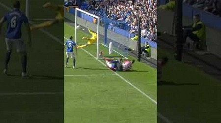 HOW DID TIM HOWARD KEEP THIS OUT?! #everton #premierleague #football