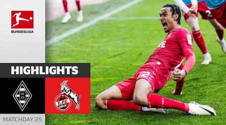 Köln secures Point in spectacular Derby! | M&#39;gladbach - FC Köln 3:3 | Highlights | MD 25– BL 23/24