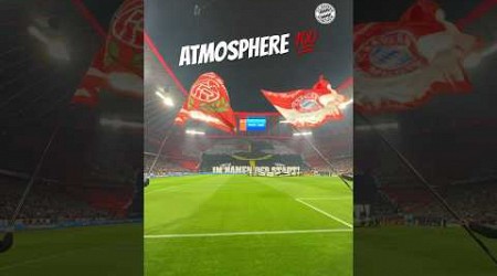 Goosebumps at the Allianz Arena 