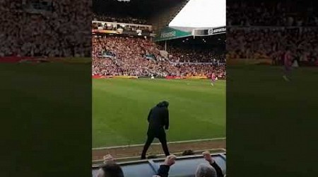 Leeds United Daniel Farke celebrating Dan James goal against Millwall !! #leedsunited #football