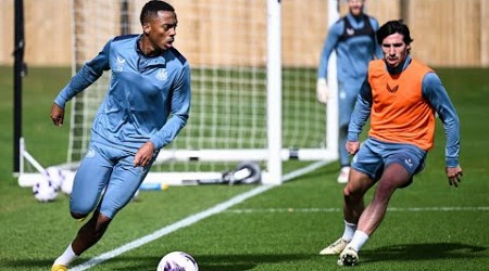 TOON IN TRAINING | Honing in on the Hammers!