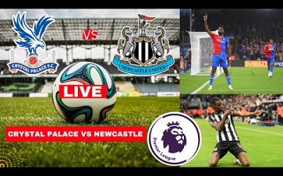 Crystal Palace vs Newcastle 2-0 Live Stream Premier League Football EPL Match Score 2014 Highlights