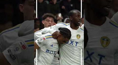 Great angle of Summerville stunner #leedsunited