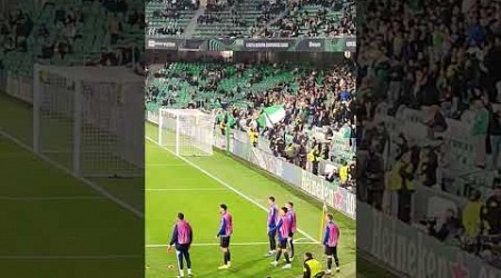 Los suplentes &quot;espectadores&quot; del Dinamo de Zagreb en el Villamarín contra el Betis. 15-02-24