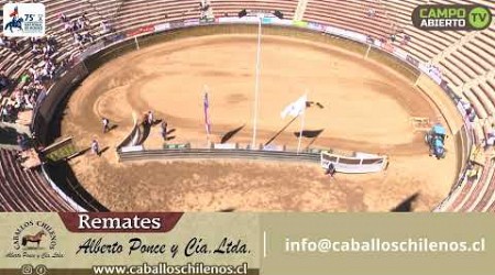 1a Serie Libre A / 75º Campeonato Nacional de Rodeo 2024