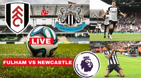 Fulham vs Newcastle 0-1 Live Stream Premier League EPL Football Match Today Score 2024 Highlights