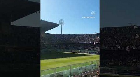 Palermo-Sampdoria fotbollsmatch. Härlig stämning på stadion i Palermo.