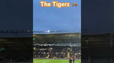 The light show at hull city