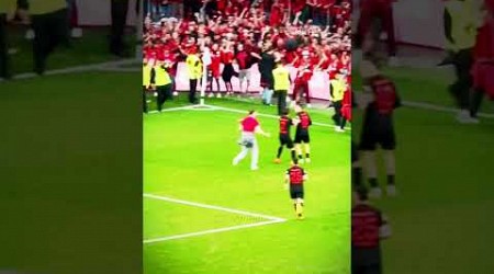 SCENES AS LEVERKUSEN WIN THE LEAGUE 