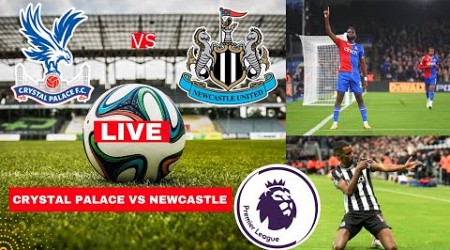 Crystal Palace vs Newcastle 2-0 Live Stream Premier League Football EPL Match Score 2014 Highlights