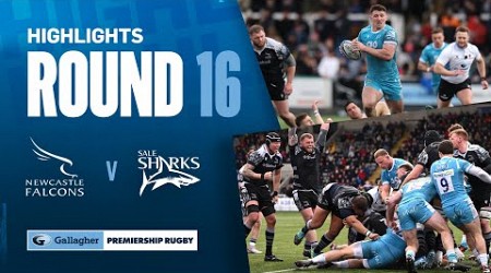 Newcastle v Sale - HIGHLIGHTS | Dominant Second Half! | Gallagher Premiership 2023/24