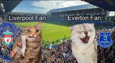 CAT MEMES Everton vs Liverpool