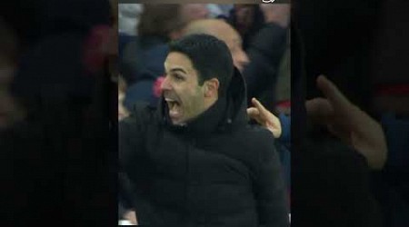 Arteta reacts to THAT late Arsenal goal