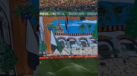 Tifo del gran derbi BETIS se rompe