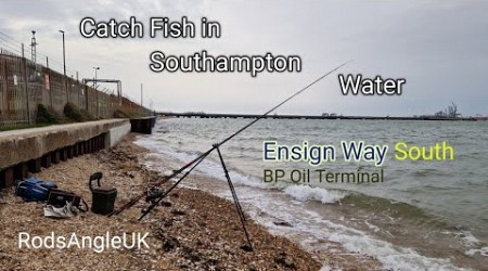 Catch Fish in Southampton Water: ENSIGN WAY South