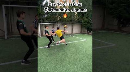 ASKING DORTMUND TO SIGN ME DAY 14 #fyp #foryou #soccer #football #dortmund #bundesliga