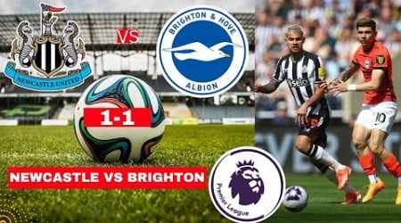 Newcastle vs Brighton 1-1 Live Stream Premier League EPL Football Match Today Score Highlights FC