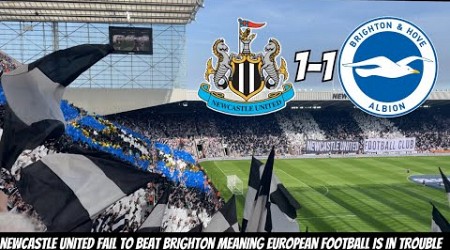 Newcastle United THROW 2 HUGE POINTS AWAY TO Brighton (1-1) !!!!!