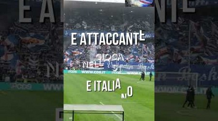 #sampdoria #football #calcio