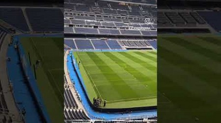 ASÍ ESTÁ EL CÉSPED DEL BERNABÉU 23 MAYO 2024 INTERIOR NUEVO ESTADIO BERNABÉU ANTES DEL BETIS