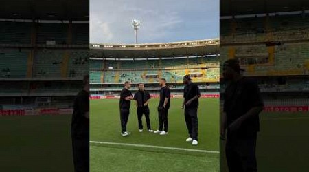 Inspecting the pitch in style 