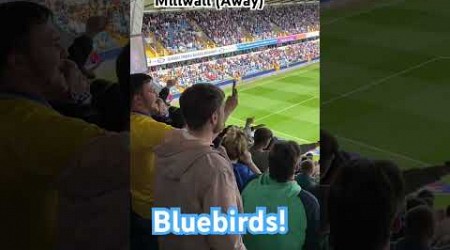 Millwall (Away) Bluebirds 