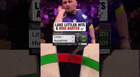 17-year-old Luke Littler hits a nine-darter in the Premier League Final 