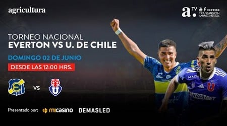 Everton vs Universidad de Chile - Torneo Nacional - Fecha 15 - 02 junio 2024