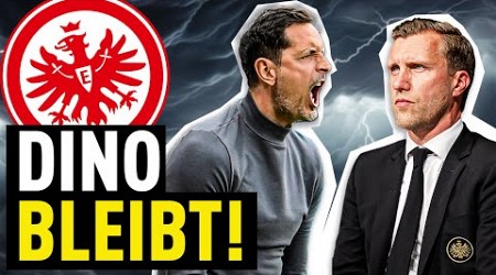 Entscheidung gefallen: Dino Toppmöller bleibt Trainer von Eintracht Frankfurt | Bundesliga News