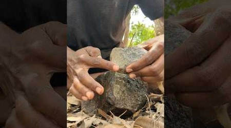 The Ancient Craftsmanship of Stone Axe Celts: A Deep Dive 