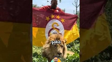 Aslan Besleyen Galatasaraylı Taraftar 