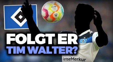 HSV STAR wechselt zu HULL CITY?!