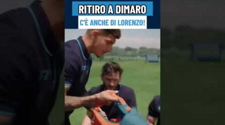 DI LORENZO e il suo futuro: indizio dalla SSC Napoli? 