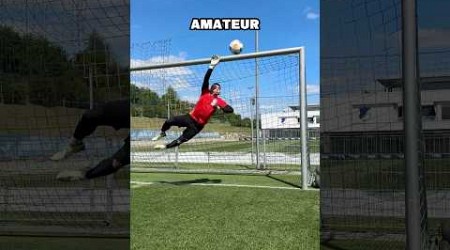 AMATEUR vs BUNDESLIGA PRO 