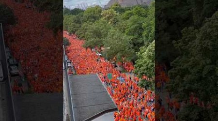 Oranje fans are something else. 