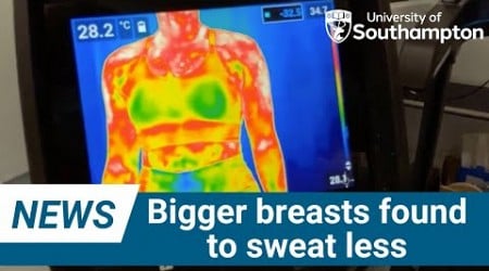 Your bra size changes how much you sweat, and it’s not what you’d think | University of Southampton