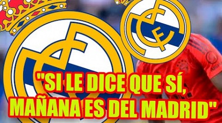 &quot;SI LE DICE QUE SÍ, MAÑANA ES DEL MADRID&quot; |Experto en Bundesliga ALEGRA AL MADRIDISMO con este crack