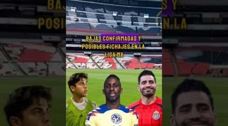 Bajas confirmadas y posibles fichajes de la Liga MX: Apertura 2024