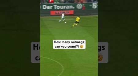 How Many NUTMEGS Did You Count?! 