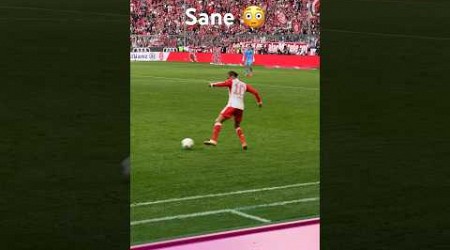 Sane 