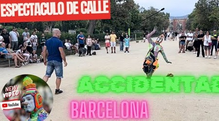 Karcocha en Parque ciudadela Barcelona P2