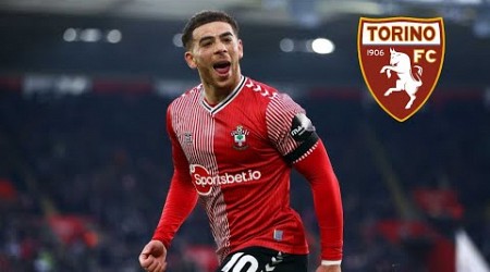 Che Adams - Welcome to Torino? - 2023/24