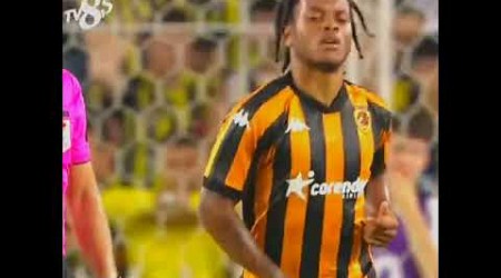 Fenerbahçe-Hull city maçı özet