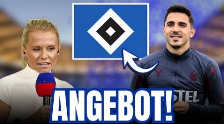 HSV SICHERT SICH MITTELFELDSPIELER VON HULL CITY! HSV NACHRICHTEN HEUTE