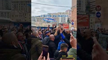 La maglia blucerchiata è bella da morire | Coro ultras Sampdoria ⚽ | Gradinata Sud Genova 