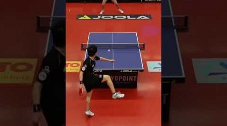 Table tennis incredible Spin and Shots 