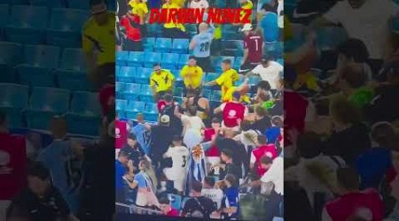 Darwin Nunez fighting fans #shorts #uruguay #liverpool #liverpoolfc #soccer #copaamerica