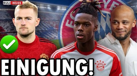 BAYERN will EM-Star NICO WILLIAMS! EINIGUNG bei DE LIGT-TRANSFER!