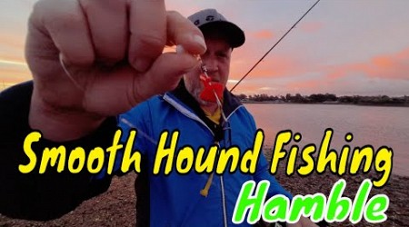 Sea fishing UK -Smooth Hound Fishing - Round 2 at Hamble - Southampton