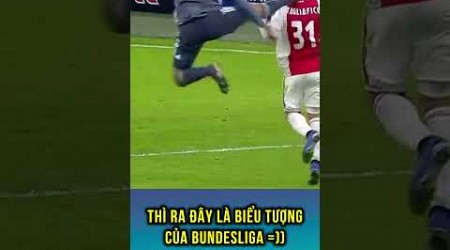 Thì ra đây là biểu tượng của Bundesliga =)))